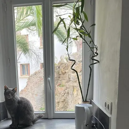 Appartement Bourgoise Chez Perette A 7 Mn En Voiture De La Croisette Cannes